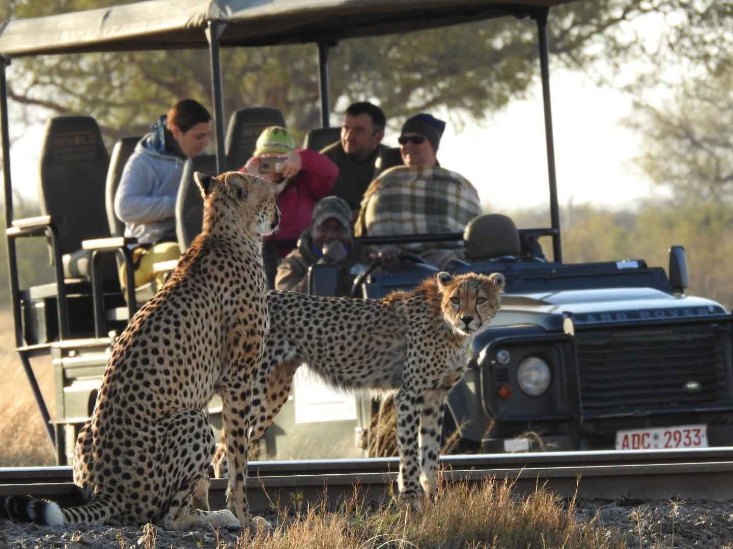 Bomani Safari Camp - Hwange